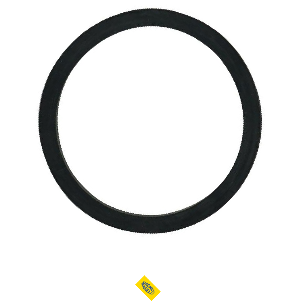Guarnição da Flange do Módulo de Combustível para Mitsubishi Pajero e Pajero Tr4 - Magneti Marelli - GFMC8802