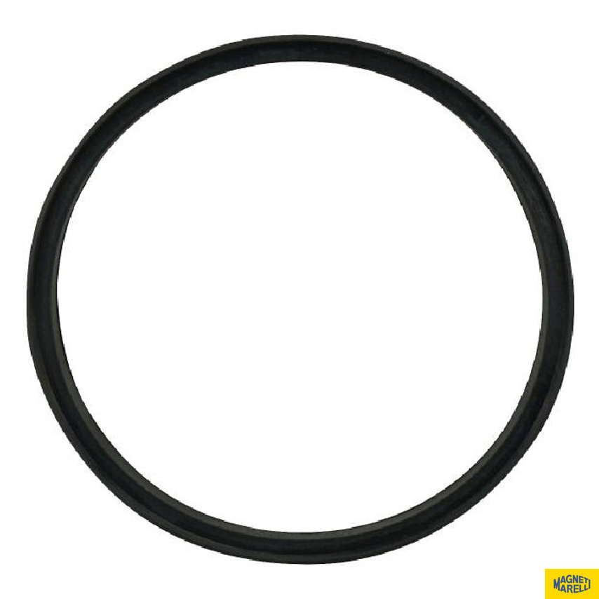 Guarnição Da Flange Do Módulo De Combustível - Magneti Marelli - GFMC6102