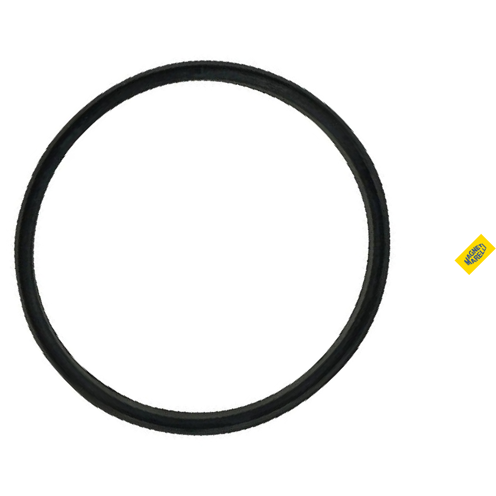 Guarnição Da Flange Do Módulo De Combustível - Magneti Marelli - GFMC6102