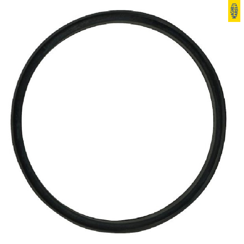 Guarnição Da Flange Do Módulo De Combustível - Magneti Marelli - GFMC6102