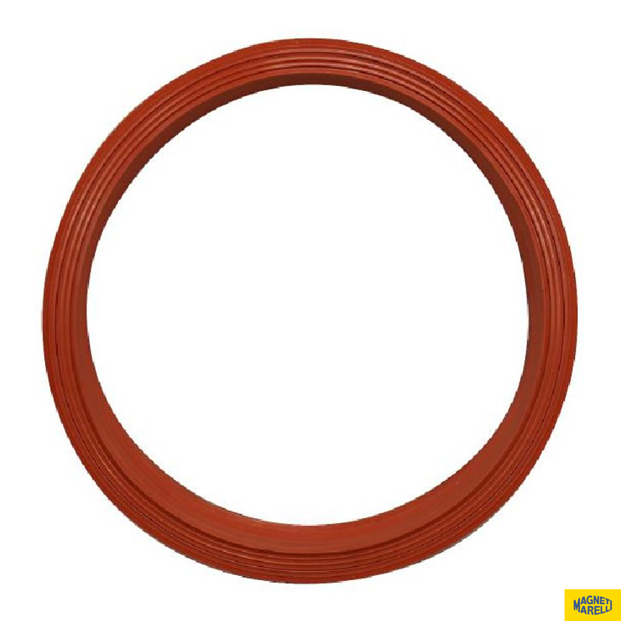 Guarnição Da Flange Do Módulo De Combustível - Magneti Marelli - GFMC7702