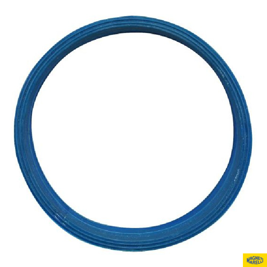 Guarnição da Flange do Módulo de Combustível para Hyundai Elantra e KIA Picanto - Magneti Marelli - GFMC8102
