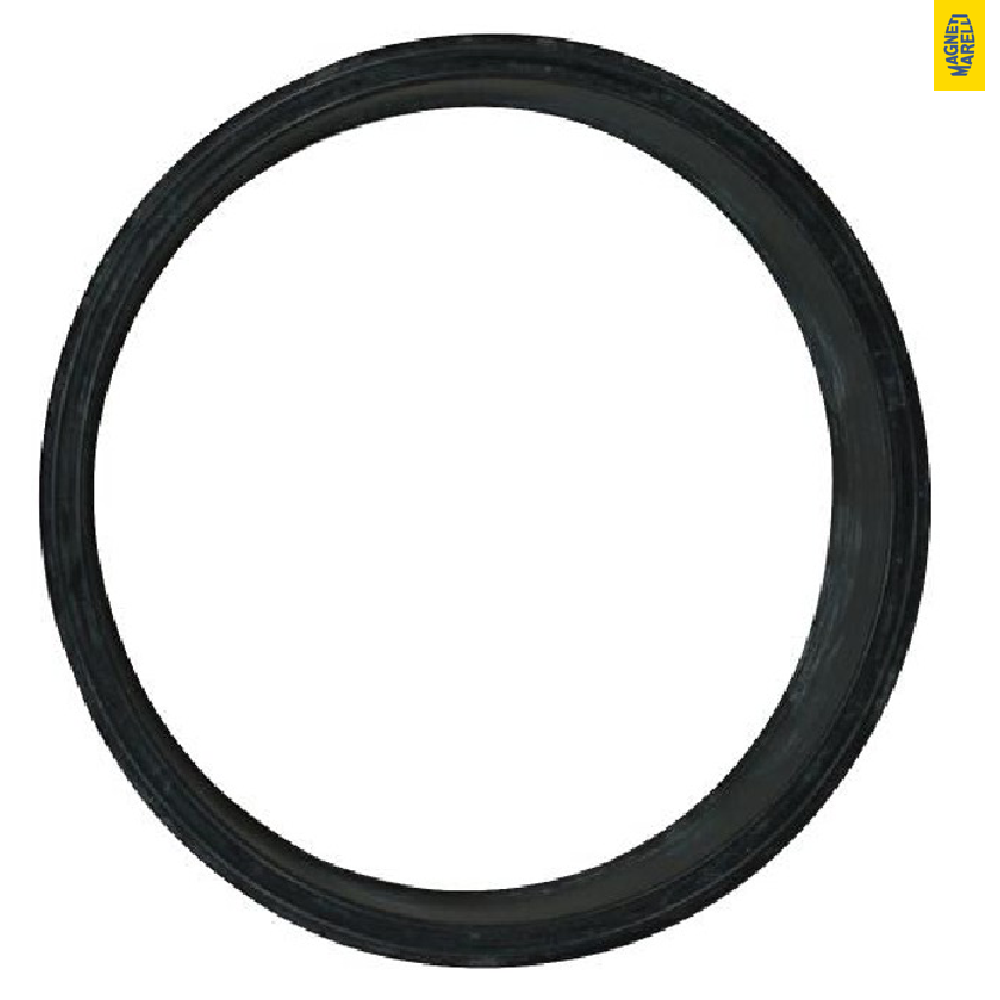 Guarnição Da Flange Do Módulo De Combustível - Magneti Marelli - GFMC6402