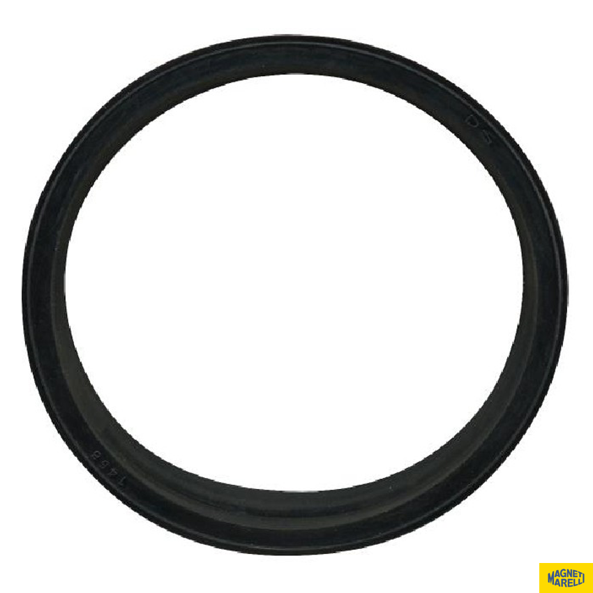 Guarnição Da Flange Do Módulo De Combustível - Magneti Marelli - GFMC5802