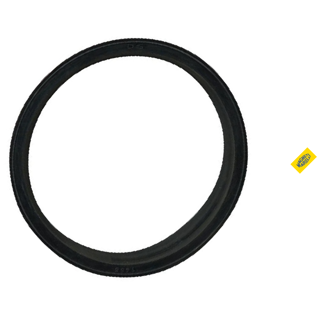 Guarnição Da Flange Do Módulo De Combustível - Magneti Marelli - GFMC5802