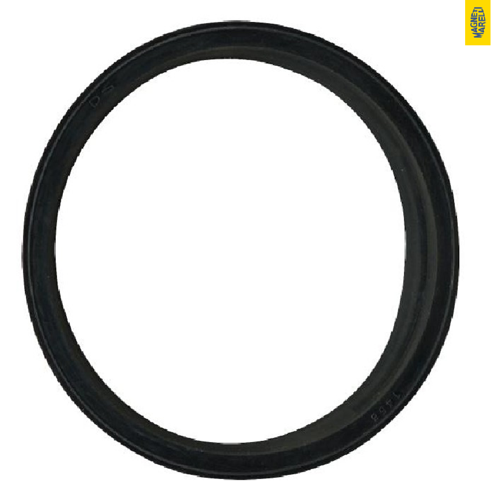 Guarnição Da Flange Do Módulo De Combustível - Magneti Marelli - GFMC5802