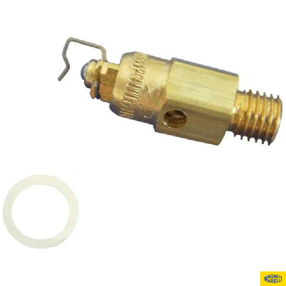 Conjunto De Válvula Da Bóia Do Carburador - Magneti Marelli - 48852252