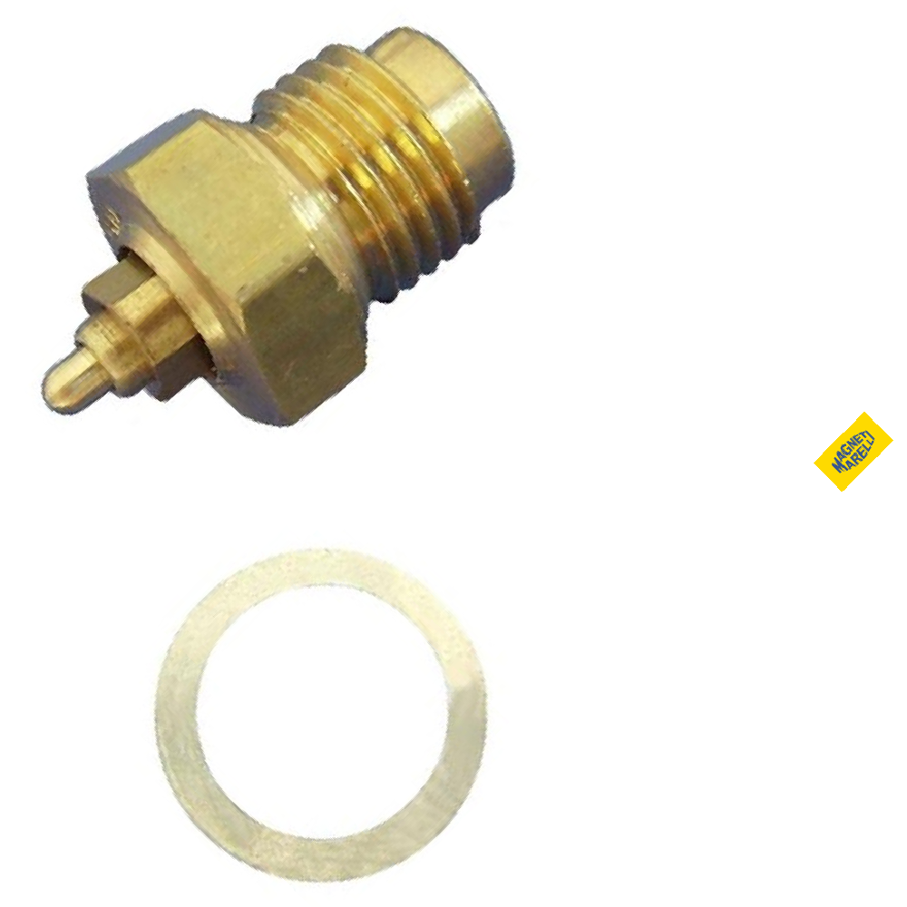 Conjunto De Válvula Da Bóia Do Carburador - Magneti Marelli - 48812002
