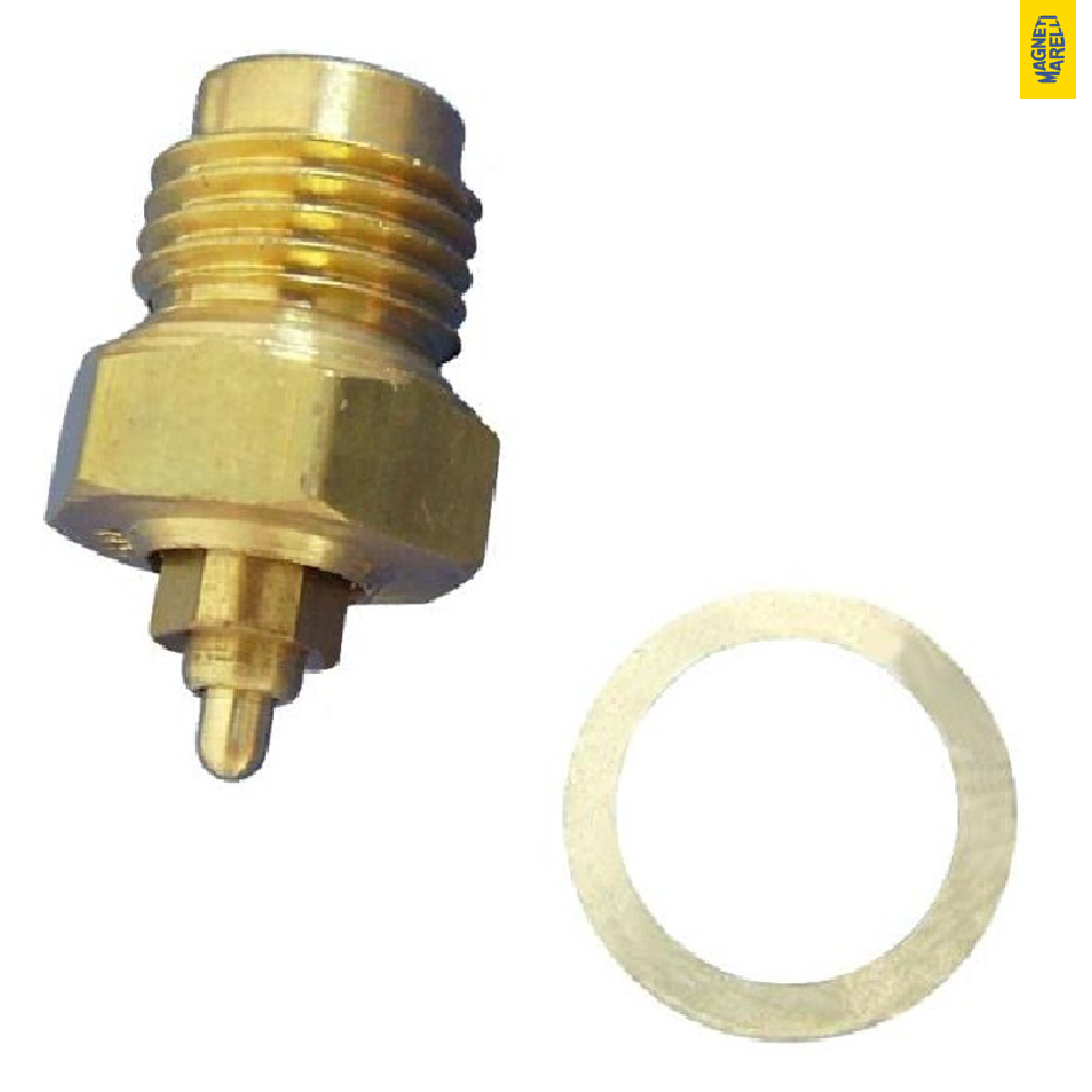 Conjunto De Válvula Da Bóia Do Carburador - Magneti Marelli - 48812002