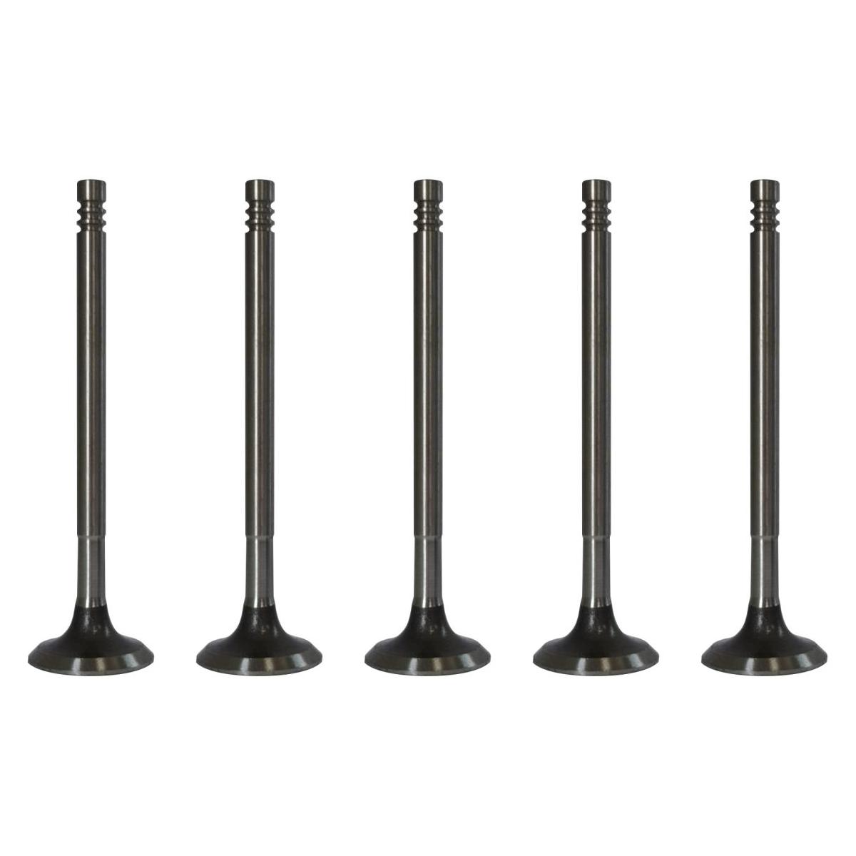 Kit 5 Válvula de Admissão para Fiat Marea e Marea Weekend - Magneti Marelli - VAC03004