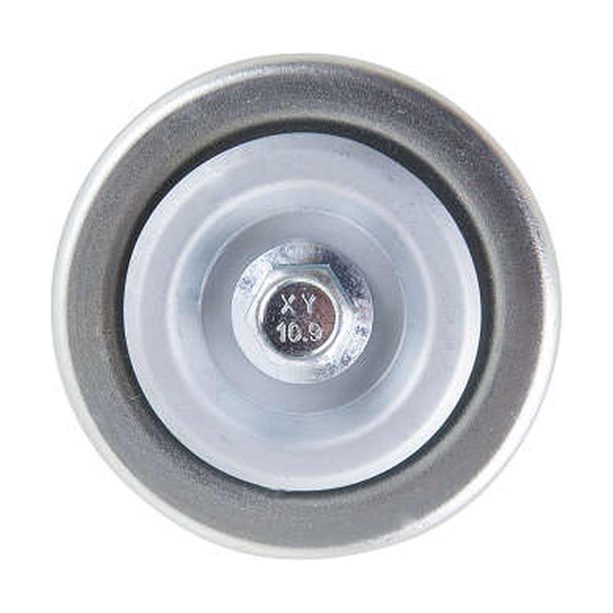 Polia do Alternador - Indisa - T254330CP