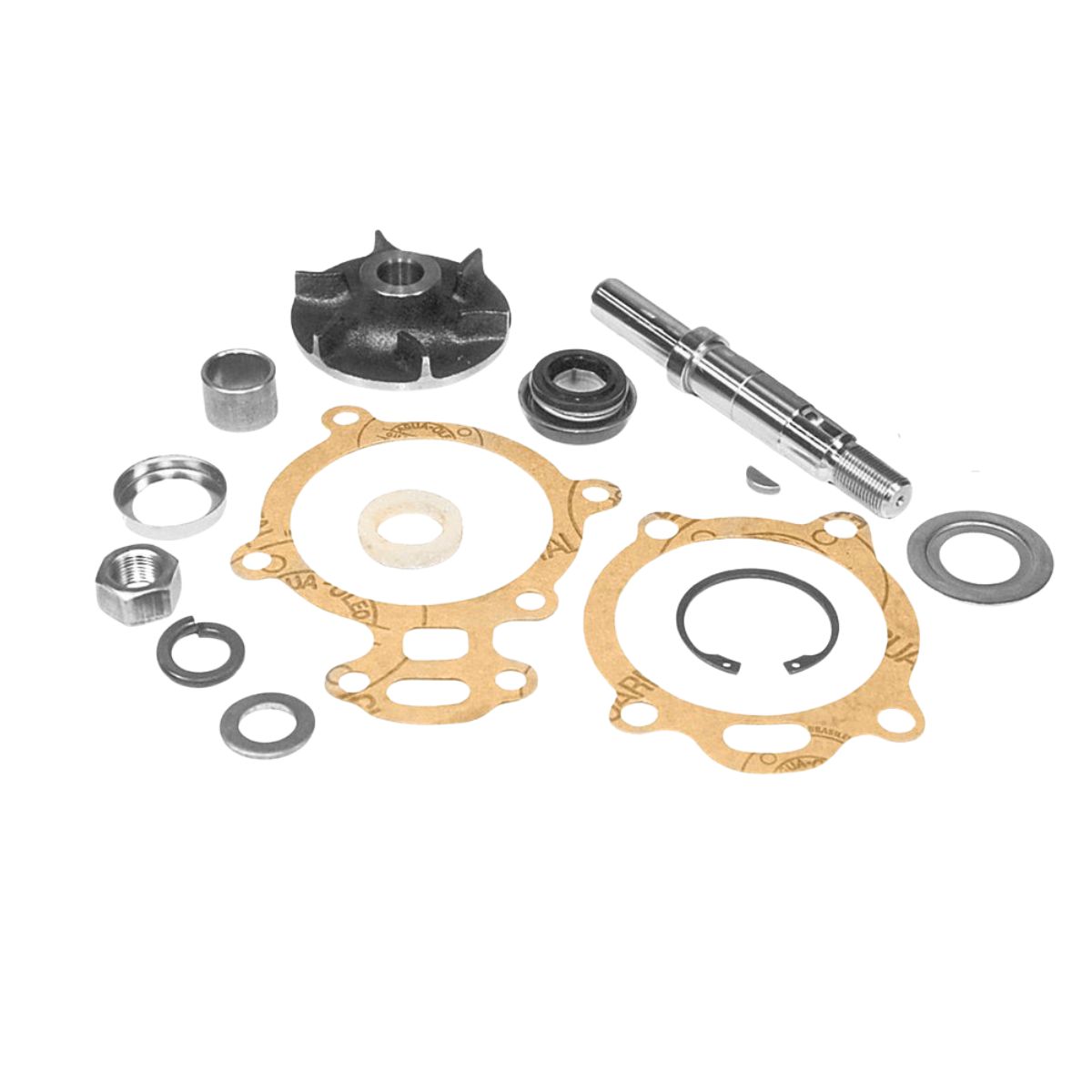 Kit de Reparo da Bomba de Água  - Indisa - 157001