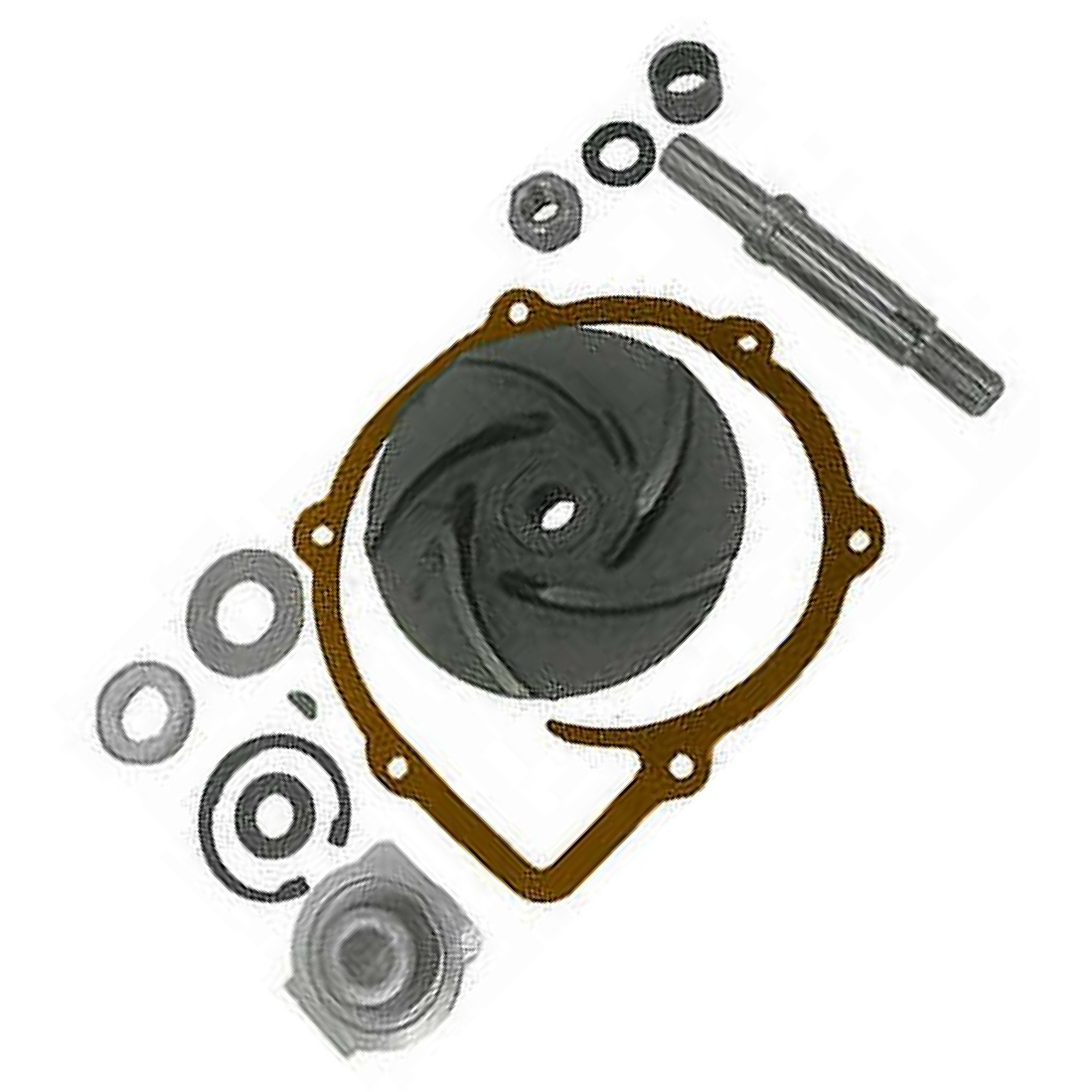 Kit de Reparo da Bomba de Água  - Indisa - 157005