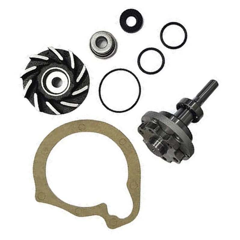 Kit de Reparo da Bomba de Água  - Indisa - 406007