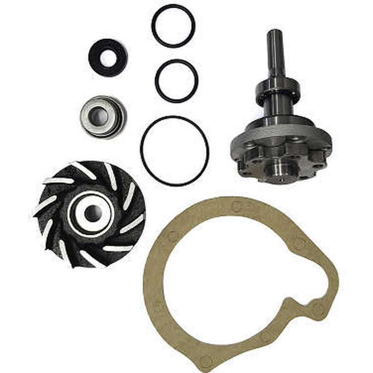 Kit de Reparo da Bomba de Água  - Indisa - 406007