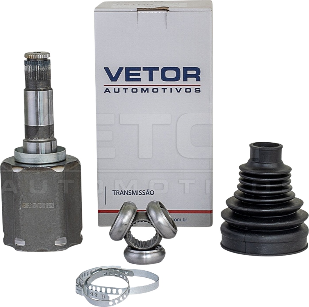 Tulipa - Vetor - VT5681