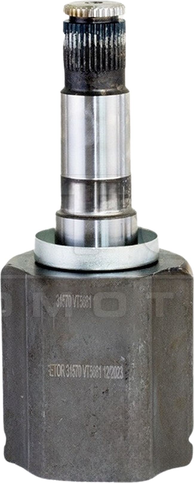 Tulipa - Vetor - VT5681