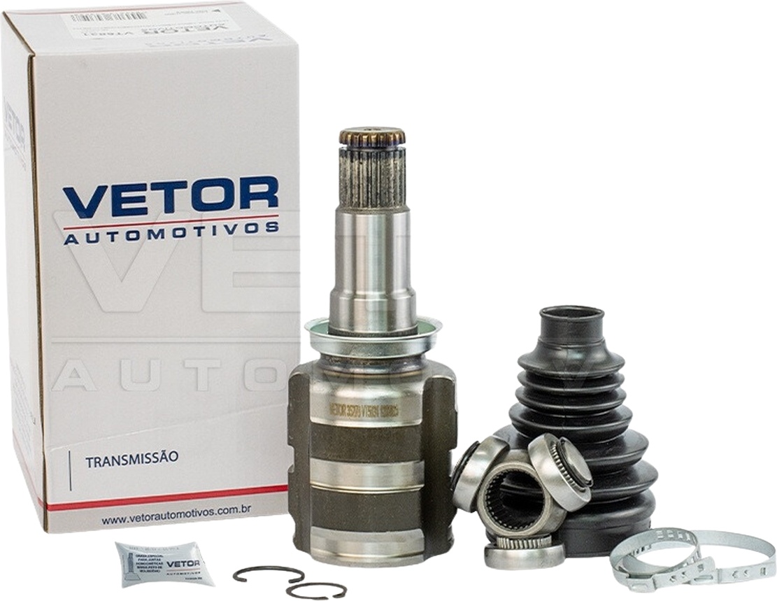 Tulipa - Vetor - VT5831