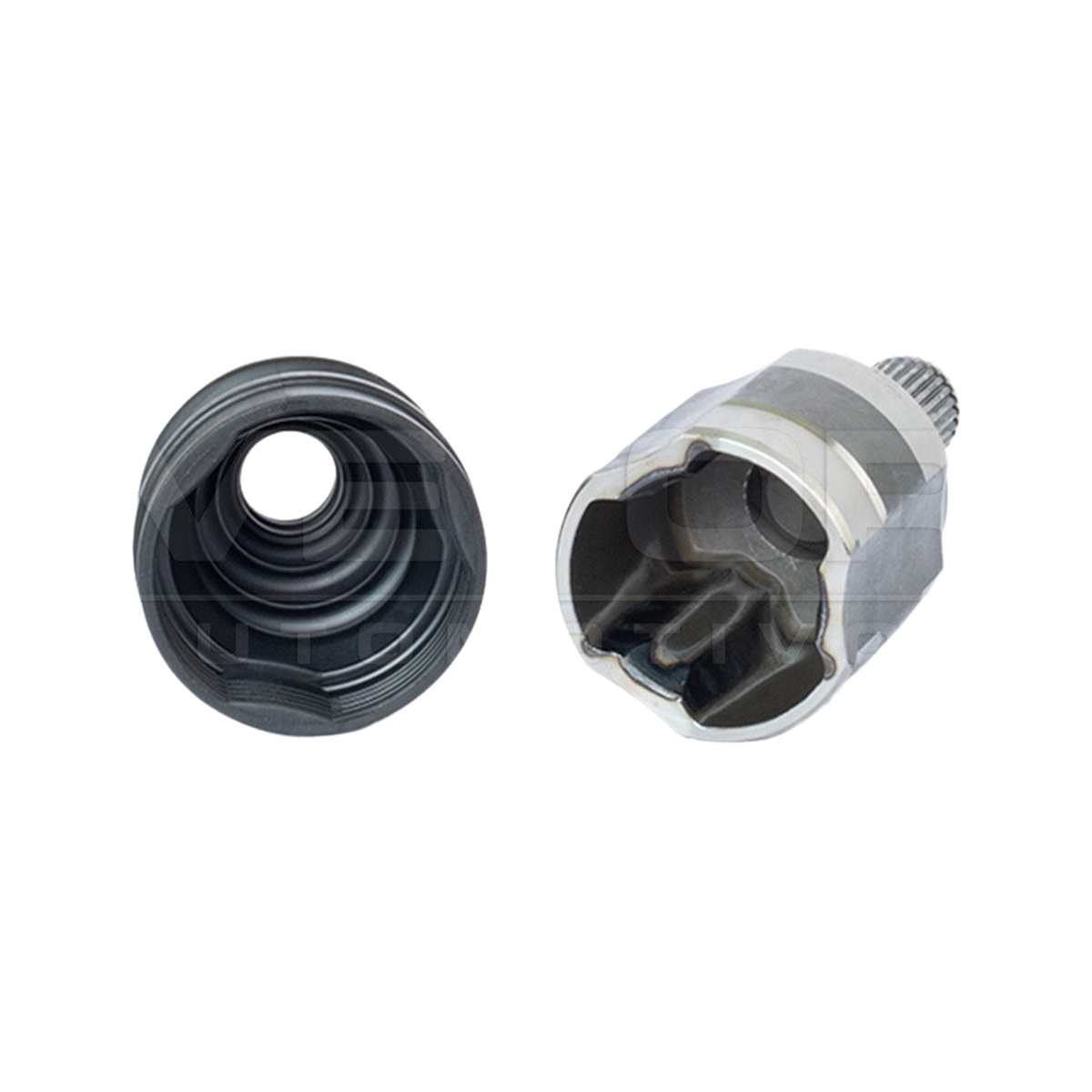Tulipa - Vetor - VT5949