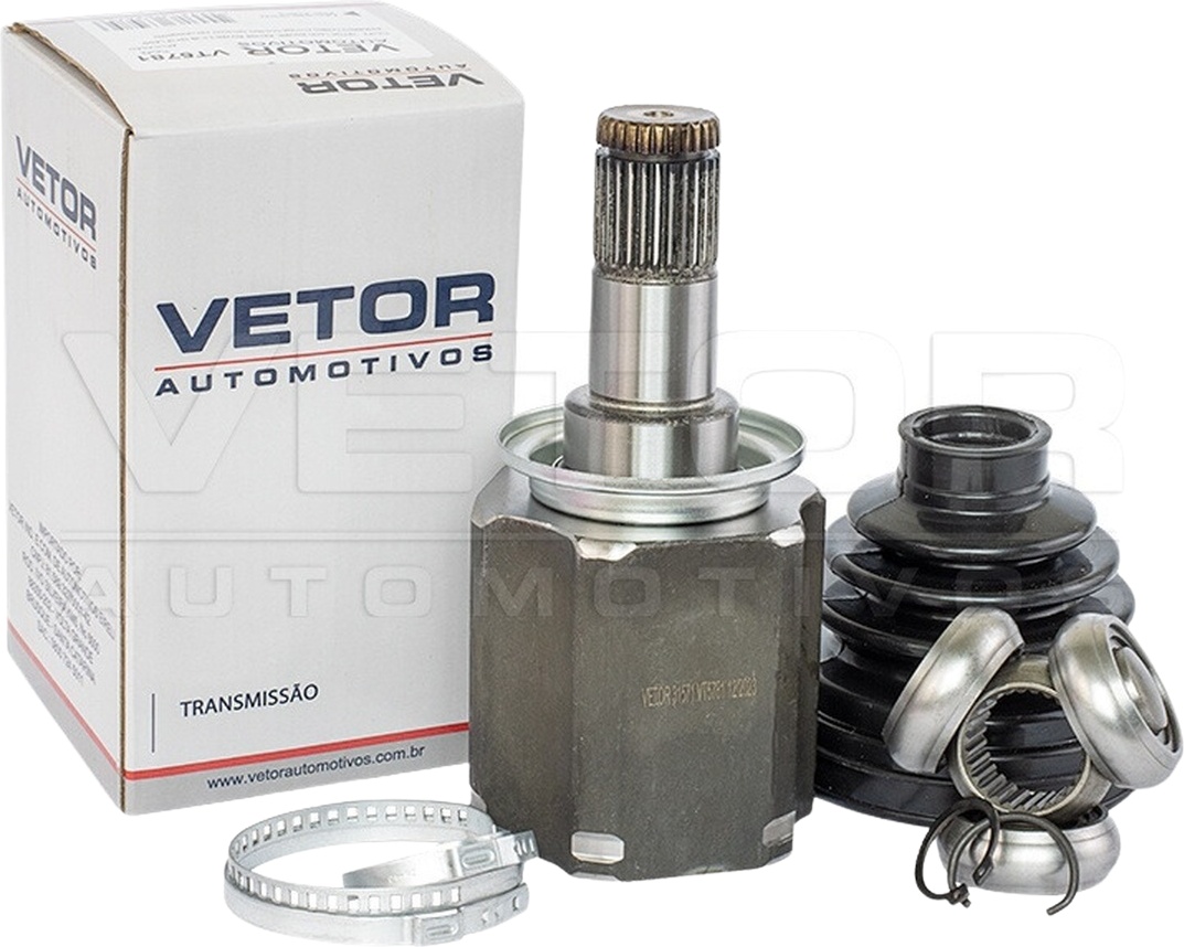 Tulipa - Vetor - VT5781