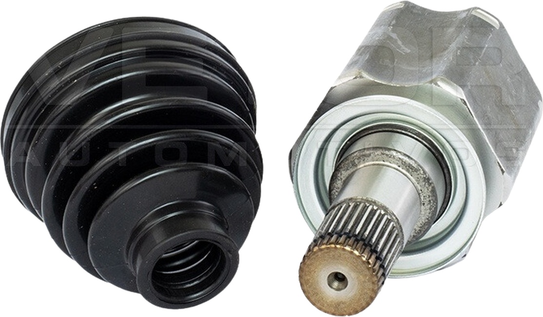 Tulipa - Vetor - VT5781
