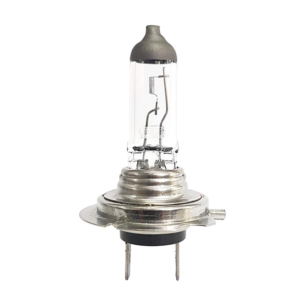 Lampada Halogena H18 - 12V - 65W - C1 - Incolor - - Gauss - GL118H18