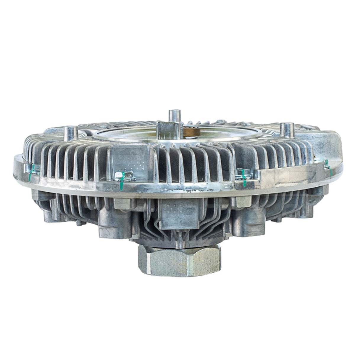 Polia Viscosa - Vetor - VPV080