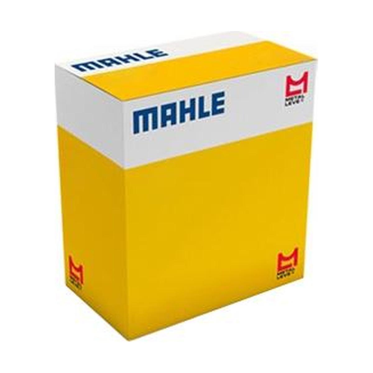 Filtro de Óleo do Câmbio Automático - Mahle Metal Leve - HX310D