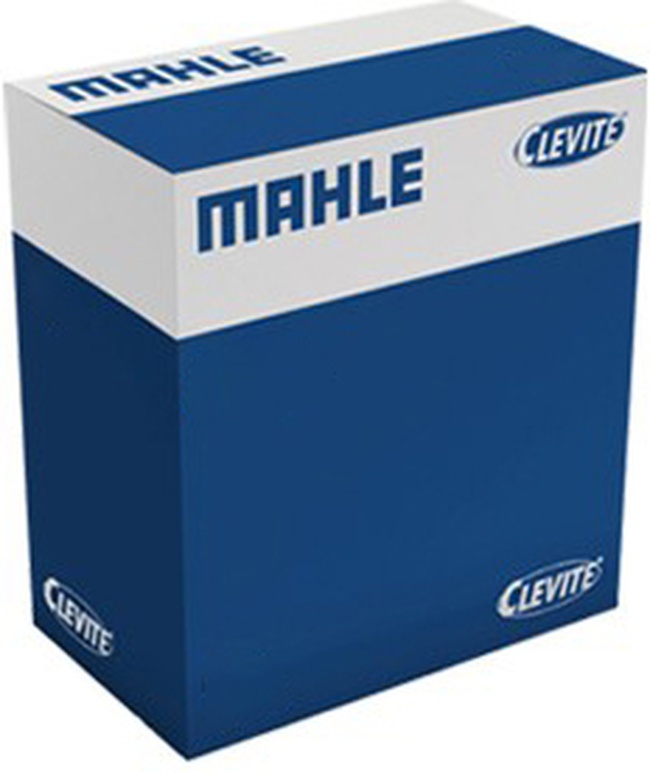 Pistão com Anéis STD para Ianor RC 210 - Mahle Clevite - S21180 STD