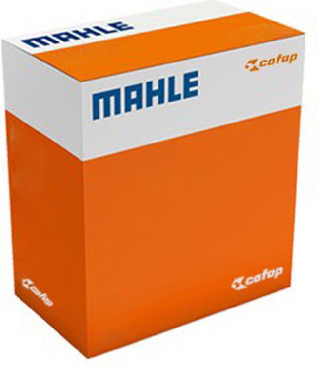 Pistão com Anéis 0,75 para Honda CG 160 e NXR 160 BROS - Mahle Cofap - CO P&A9825 0,75