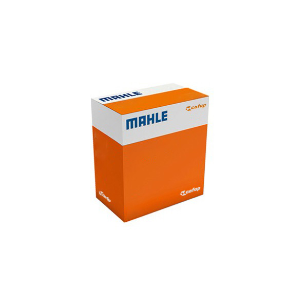 Pistão com Anéis STD para Honda CG 160 e NXR 160 BROS - Mahle Cofap - CO P&A9825 STD