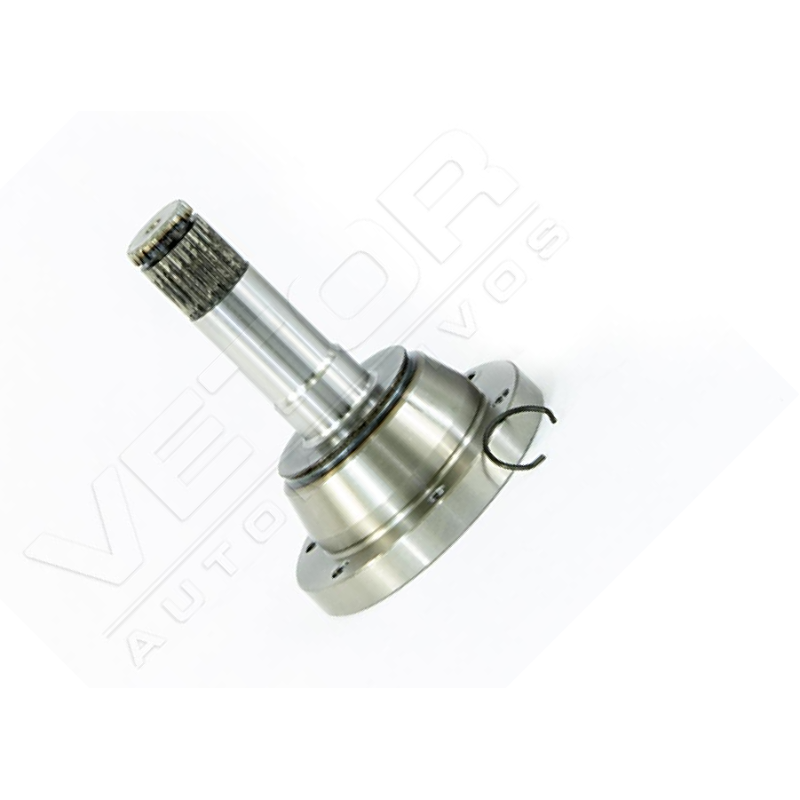 Tulipa Direita ou Esquerda - Vetor - VT6007