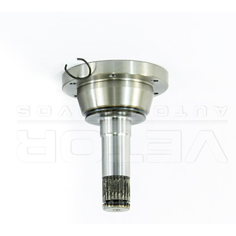 Tulipa Direita ou Esquerda - Vetor - VT6007