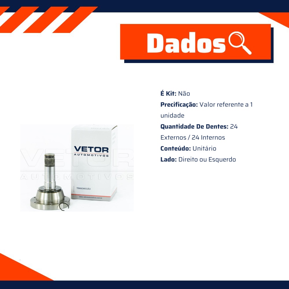 Tulipa Direita ou Esquerda - Vetor - VT6007