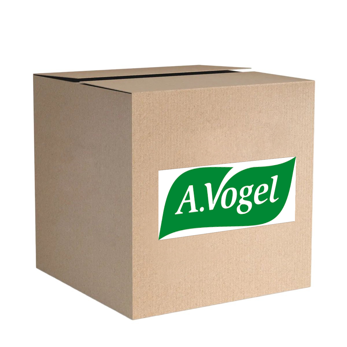 Diafragma Carburador - Vogel - 6022