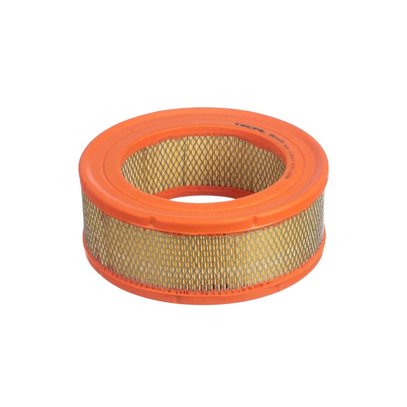 Filtro de Ar do Motor - Tecfil - AR1070