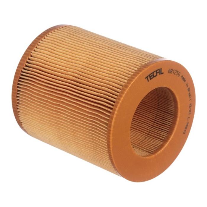 Filtro de Ar do Motor - Tecfil - AR1250