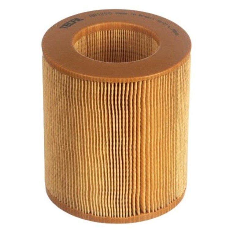 Filtro de Ar do Motor - Tecfil - AR1250