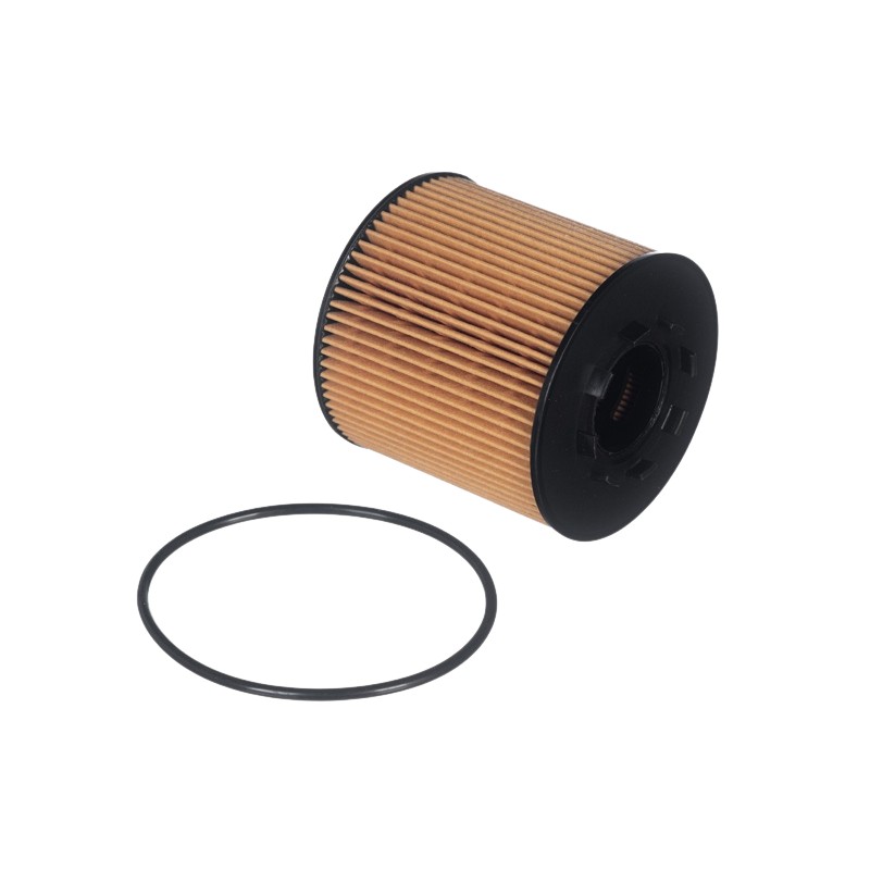Filtro de Óleo Lubrificante para Renault Master - VOX - LE312
