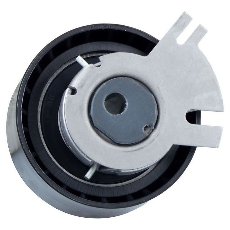 Tensor da Correia Dentada para Renault Master - INA - 531 0548 10