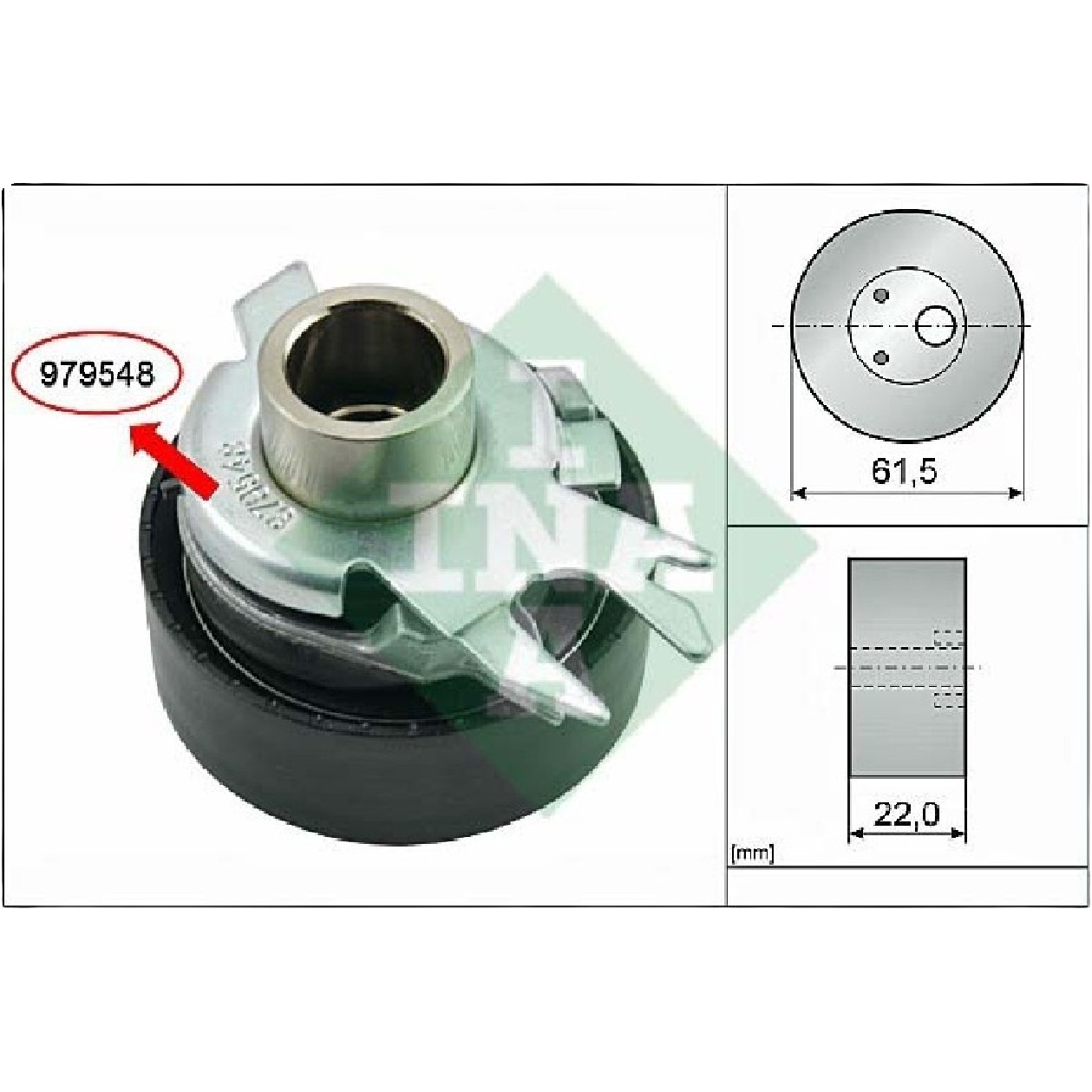 Tensor da Correia Dentada - INA - 531 0525 30