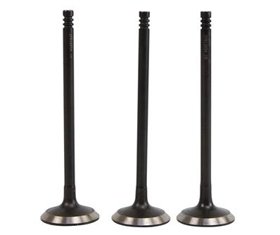 Kit 3 Válvula de Admissão - Frontier - 78312