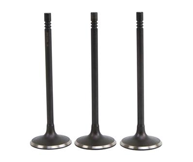 Kit 3 Válvula de Admissão - Frontier - 78261