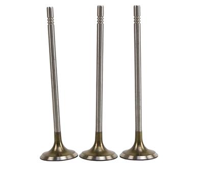 Kit 3 Válvula de Admissão - Frontier - 78341
