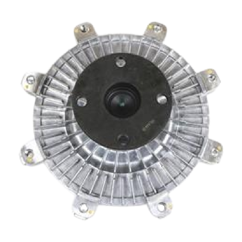 Polia Viscosa - Frontier - 27596