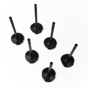 Kit 6 Válvula de Admissão - Frontier - 76982