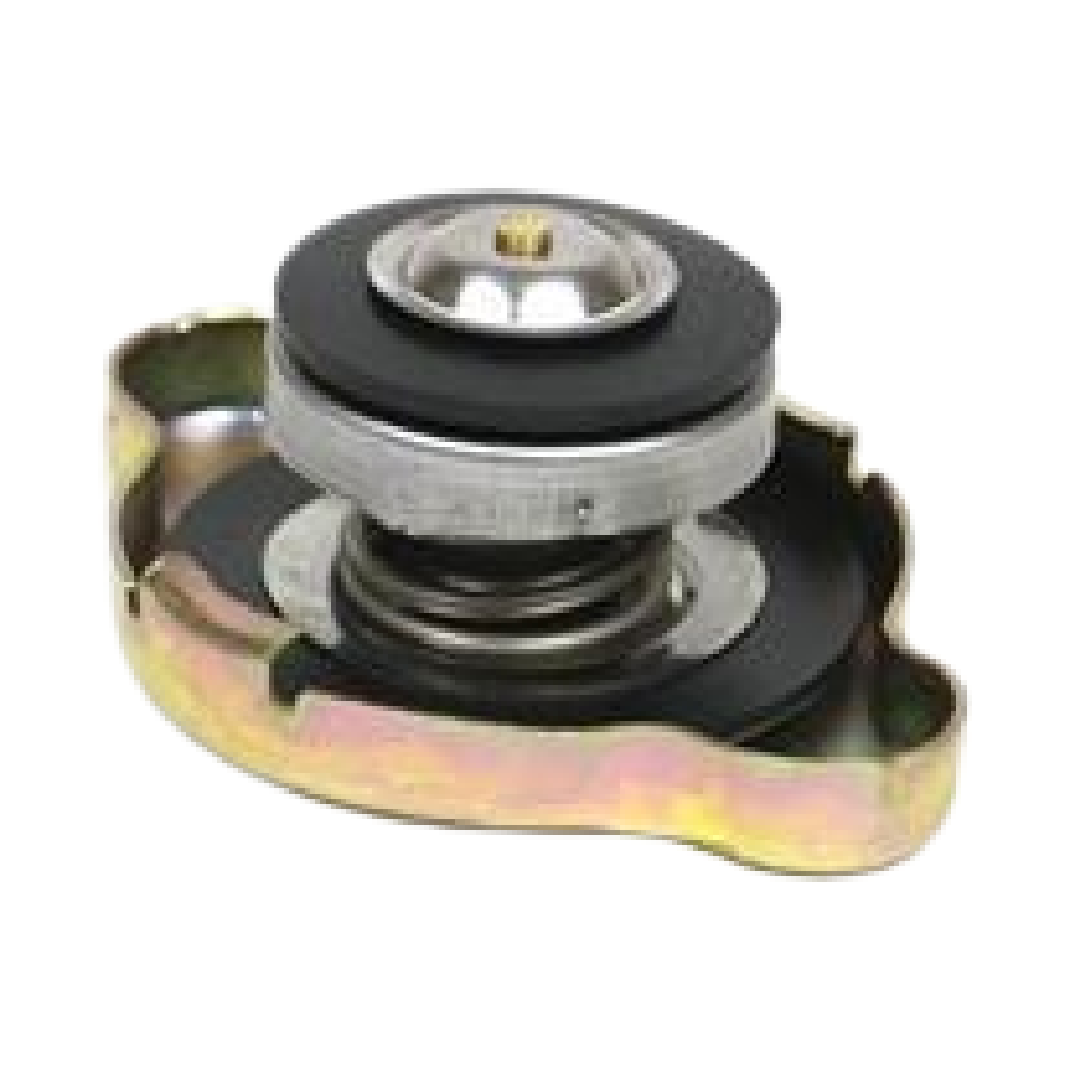 Tampa do Radiador - Drivetec - 19123