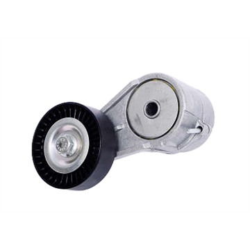 Tensionador do Alternador - Dayco - APV2301