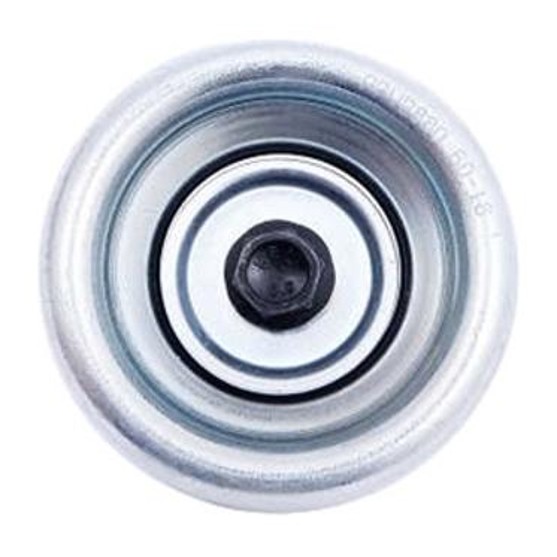 Polia do Alternador - Dayco - APV2880