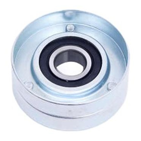 Polia do Alternador - Dayco - APV2891